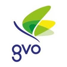 gvo